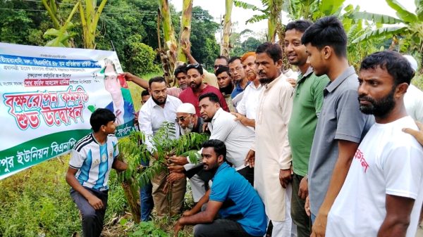 বিএনপির প্রতিষ্ঠাবার্ষিকী উপলক্ষে শাহমাহমুদপুরে অঙ্গ সংগঠনের বৃক্ষরোপণ কর্মসূচির উদ্বোধন