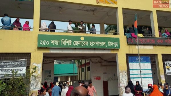 বিষয়টি উদ্বেগজনক, বিড়ালপ্রেমীদের সতর্ক হওয়ার পরামর্শ
