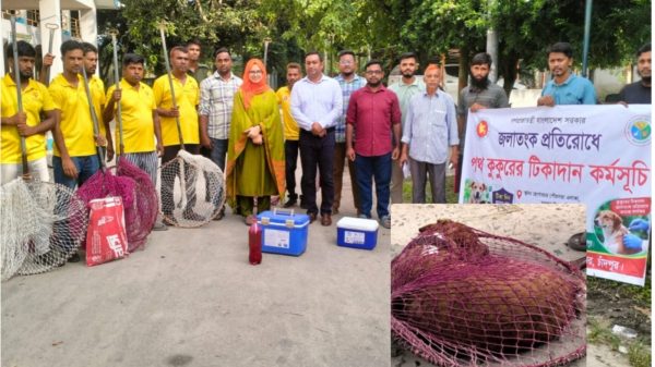 মতলব উত্তরে জলাতঙ্ক প্রতিরোধে পথকুকুরকে টিকাদান শুরু