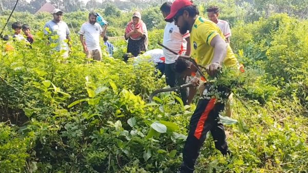 পরিত্যক্ত রেলভূমির জঙ্গল পরিষ্কার করলো ‘ক্লিন চাঁদপুর’