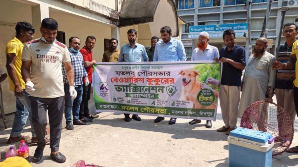 মতলব দক্ষিণে বেওয়ারিশ কুকুরের জলাতঙ্ক টিকাদান কার্যক্রম উদ্বোধন