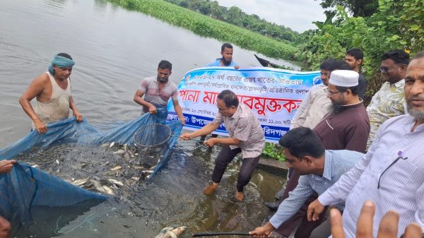 ফরিদগঞ্জে জলাশয়ে দেশীয় প্রজাতির ১৫৪ কেজি পোনা মাছ অবমুক্ত
