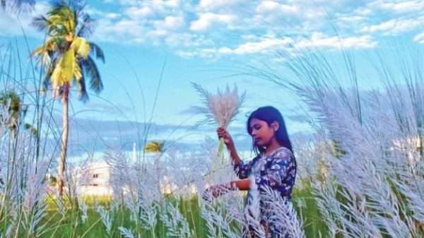 ঋতুপ্রিয় বাঙালি