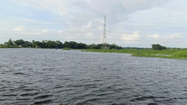 ইলিশ তো কমেছেই, দেশীয় মাছও হারিয়ে যাবে?