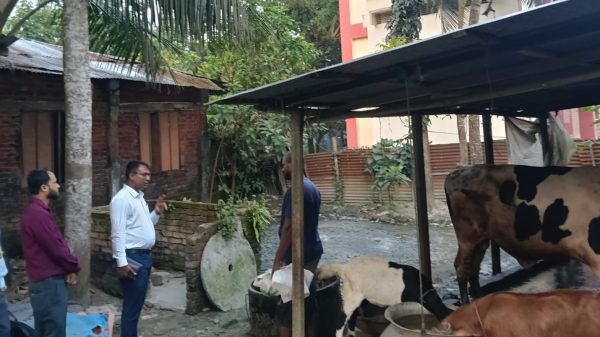 গরুর বর্জ্যে পরিবেশ দূষণ, চাঁদপুরে খামারিকে ১০ হাজার টাকা জরিমানা
