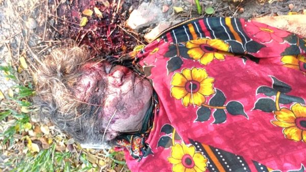 হাজীগঞ্জে সড়কের পাশে অজ্ঞাত নারীর মরদেহ, গাড়িচাপায় মৃত্যুর ধারণা