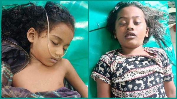 কচুয়ায় পুকুরের পানিতে ডুবে দুই শিশুর মৃত্যু
